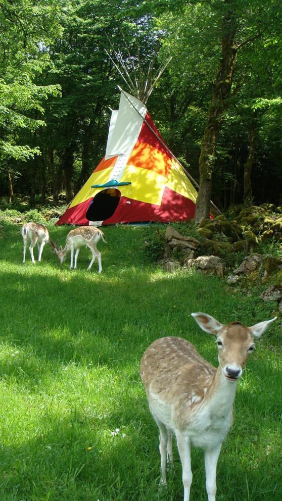 Le Gite Des Daines Lavans-les-Saint-Claude 外观 照片